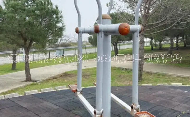 天生赢家凯发一触即发小说