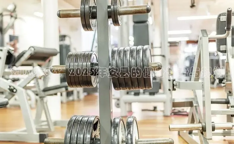 天生赢家凯发一触即发小说