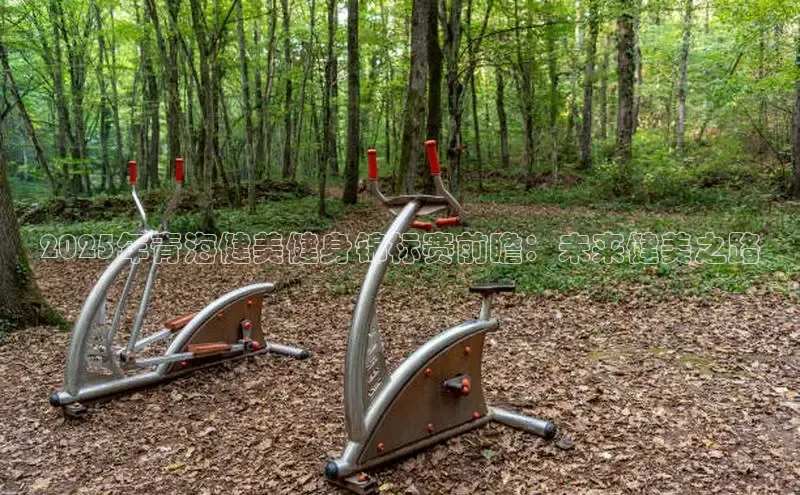 K8一触即发人生赢家